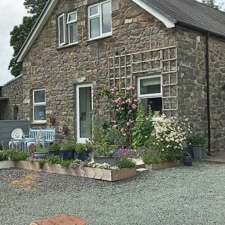 Pant Glas Barn Llanbrynmair エクステリア 写真